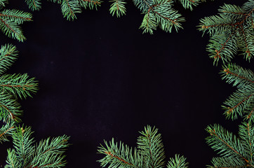 Christmas and New Year background with spruce tree brunches frame and copy space