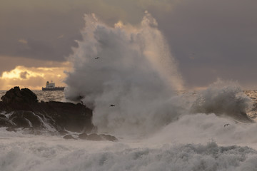 Fototapeta na wymiar Big sea wave splash at sunset