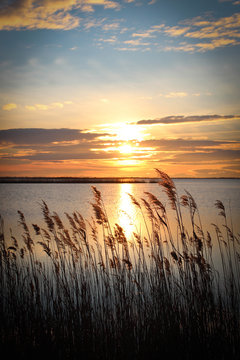 couch&eacute; de soleil sur l'&eacute;tang du charnier entre gallician et vauvert