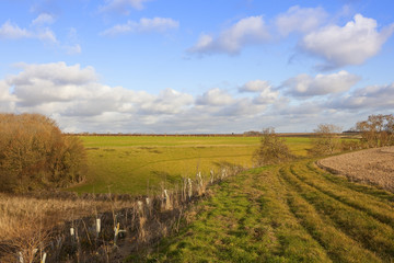 bridleway in autumn