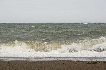 Breaking wave on the beach