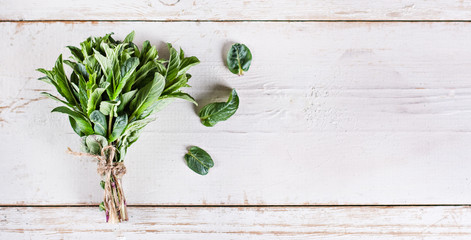 Bunch of fresh mint