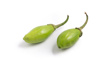 Jilo Scarlet. African Eggplant