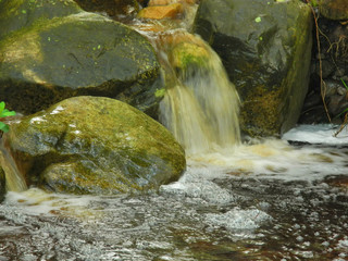 Waterfall over rocks in Kirstenbosch Botanical Gardens from Mountain Stream