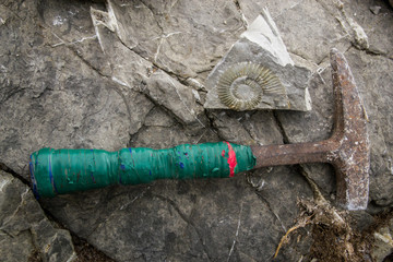 Fossile di ammonite su matrice e martello da geologo
