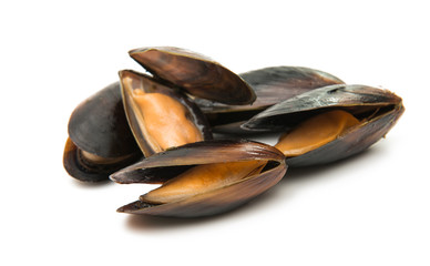 mussels