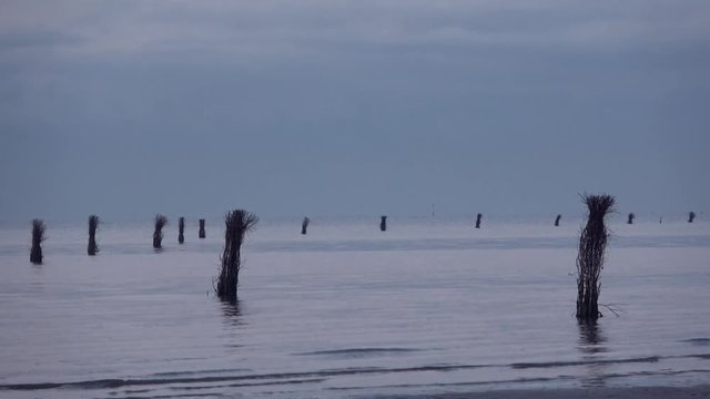 Weg zur Insel Neuwerk, Cuxhaven, Wattenmeer, 4k
