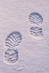 left tracks in the snow