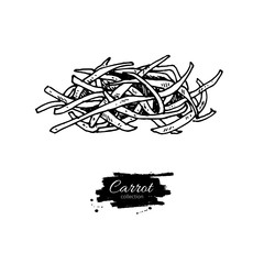 Carrot sliced pieces hand drawn vector illustration. Isolated Vegetable engraved style