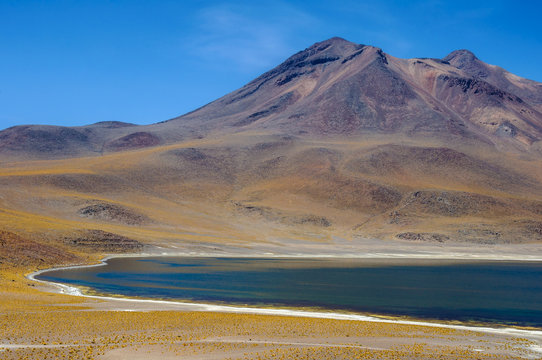 Miniques lagoon with Miniques volcano in background in San Pedro de Atacama, Chile