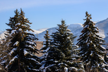 Winter scenery