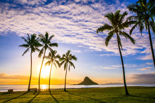 Fototapeta Beautiful sunrise at Chinaman's Hat on Oahu
