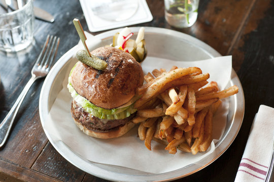 Hamburger And Fries, High Level View 