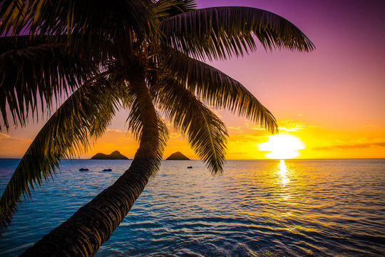 Fototapeta Beautiful Hawaiian Sunrise at Lanikai Beach