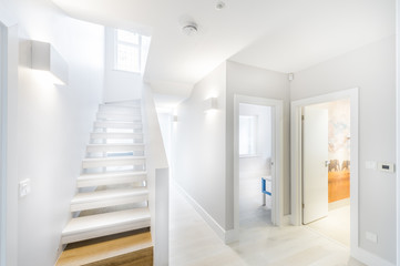 Luxurious and modern hall