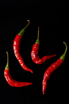 Red chili peppers, black background 