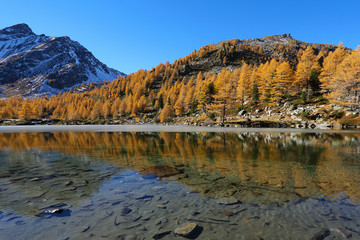 Arpy lake reflection with autumn trees
