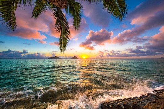Fototapeta Piękny hawajski wschód słońca na plaży Lanikai