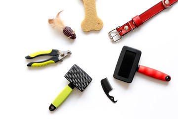 concept pet care and training on white background top view