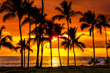 Obraz premium Beautiful Hawaiian Sunset