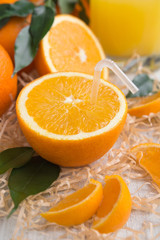 Fresh orange closeup with straw juice