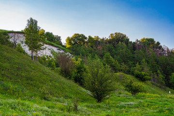 Fototapeta na wymiar View of the chalk hill and the ancient forest archaeological monument - Krapivinskaya settlement, Belgorod region, Russia.