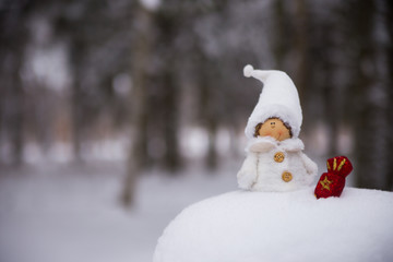 Snow fairy gnome in the forest