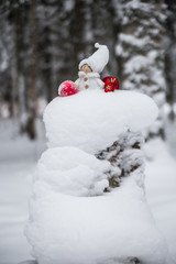 Snow fairy gnome in the forest