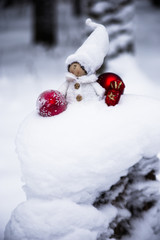 Snow fairy gnome in the forest
