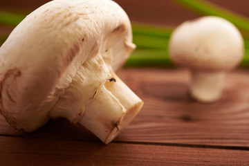 mushrooms on a wooden table