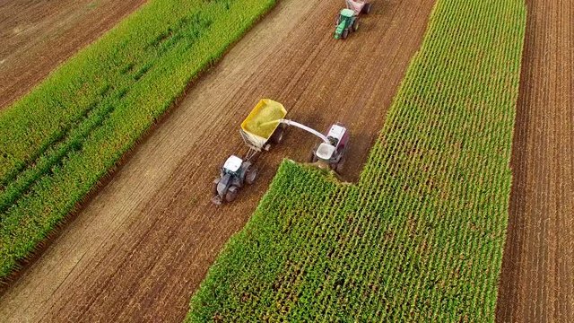 Farm machines harvesting Midwest corn for ethanol. The entire plant is used in this process, there is no waste.