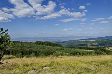 Fototapeta na wymiar Panorama of glade and green forest in Vitosha mountain and part at Sofia city, Bulgaria 