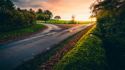 Obraz premium Country lane in autumn