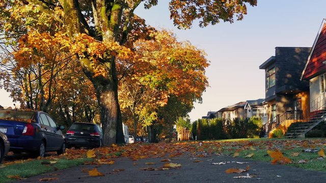 Suburbs In The Fall With Leaves Covering Ground