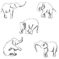 Elephants. A sketch by hand. Pencil drawing