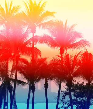 Retro photo of palm trees