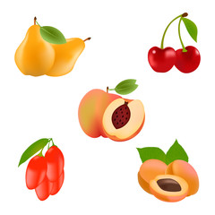 Realistic fruits vector icons set. peach, pear, apricot ,cherry,goji  illustration
