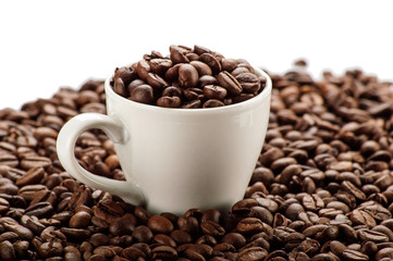 Cup in coffee beans