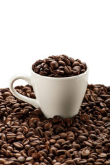 Cup in coffee beans