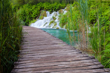 Obraz premium Rzeka kaskady i wodospad w pięknym letnim lesie zielony