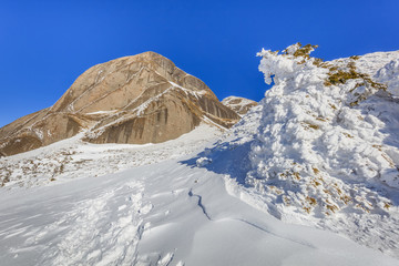 mountain landscape in winter