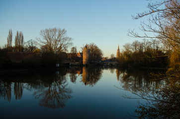 Calm water reflects bare trees near Bruges, Belgium, in soft golden light. Peaceful, atmospheric rural landscape with mirror-like stillness.
