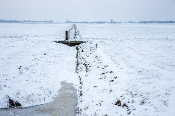 Foto auf Leinwand Dutch snowy farmland with windmills. © misign