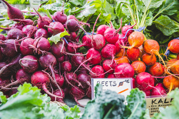 Bunches of red and golden beetroot 
