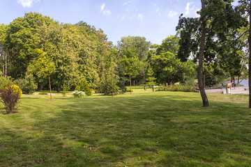 Obraz premium old park with green lawns and big trees.