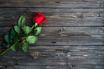 Romantic background with red rose on wood table, top view