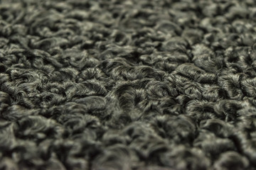 The fur is dark black karakul lambskin texture, background