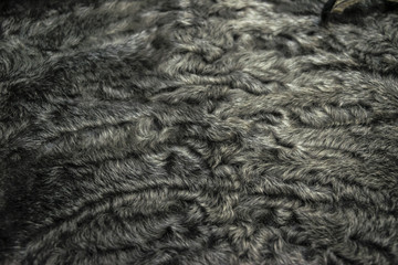 close up  fur is gray brown karakul lambskin texture, background