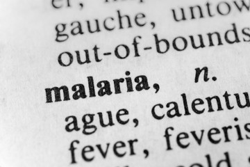 Obraz premium Malaria