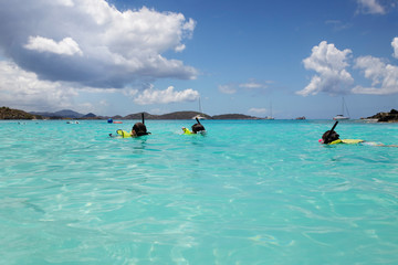 Young girl swims to her Dad and brother, snorkeling in St. John